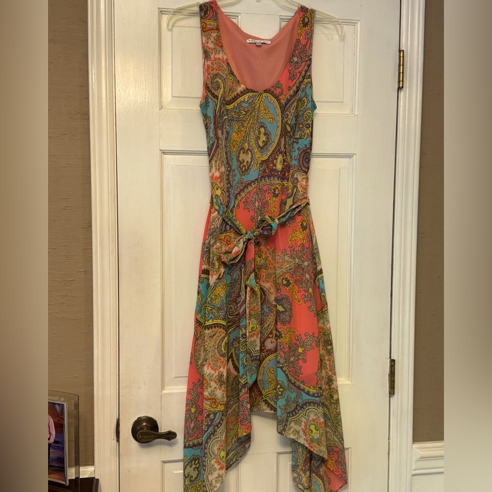 Robbie Bee Pink and Blue Asymmetrical Sundress